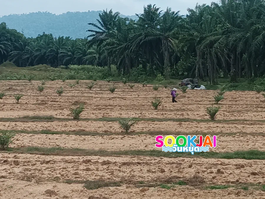 สะพานเหล็กบูญสูง