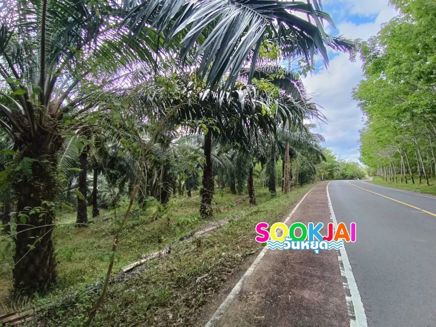 Sa Nang Manora Forest Park, Phang Nga