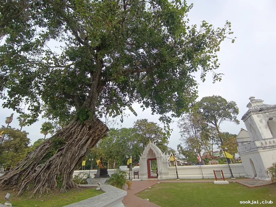 Wat Suwan Dararam is a temple of the Chakri dynasty because the father of King Rama I built it