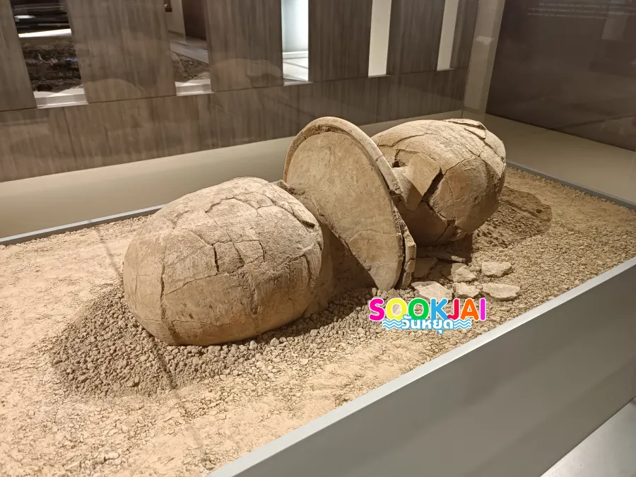 Exploring the Thousand-Year Treasure: 