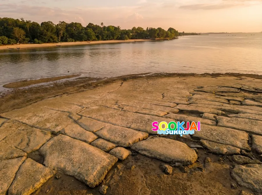 มหัศจรรย์พันปี "สุสานหอย 75 ล้านปี" กระบี่ เจาะลึกความลับธรณีวิทยาหนึ่งเดียวในเอเชีย