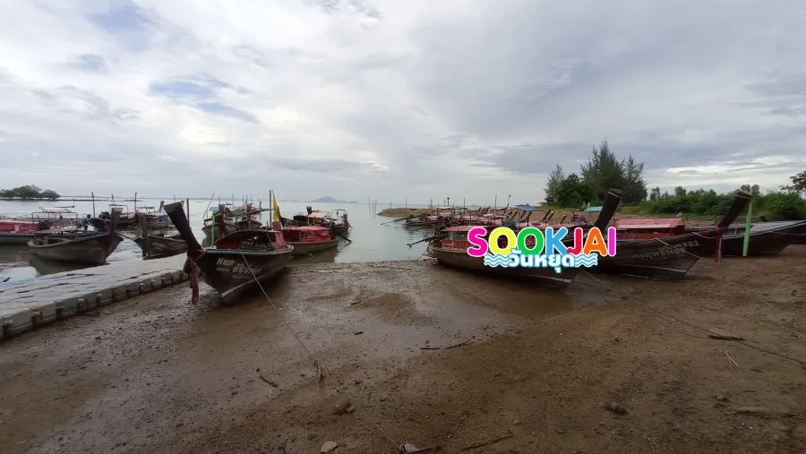 A Thousand-Year Miracle: 