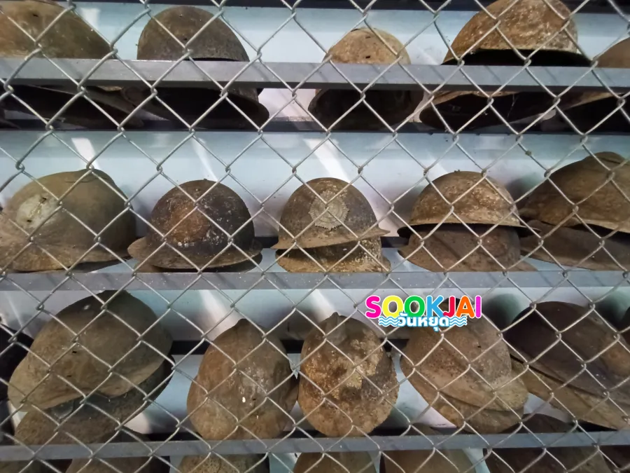 ย้อนรอยประวัติศาสตร์ที่ พิพิธภัณฑ์สงครามโลกครั้งที่ 2 กาญจนบุรี จุดเช็คอินที่ไม่ควรพลาด