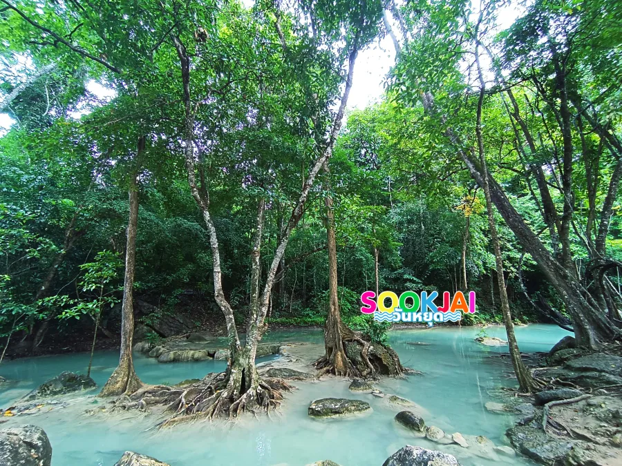 รีวิวน้ำตกเอราวัณ กาญจนบุรี สัมผัสสวรรค์บนดิน 7 ชั้น น้ำใสสีมรกตกลางป่าใหญ่