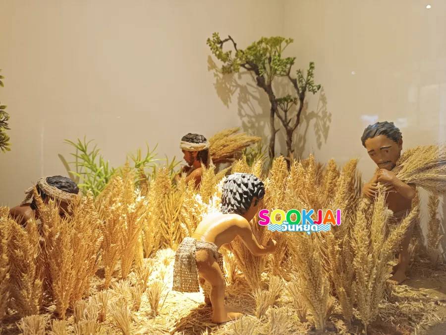 Trace the Stone Age! Ban Kao National Museum, Kanchanaburi, the origin of Thai history that the world must record