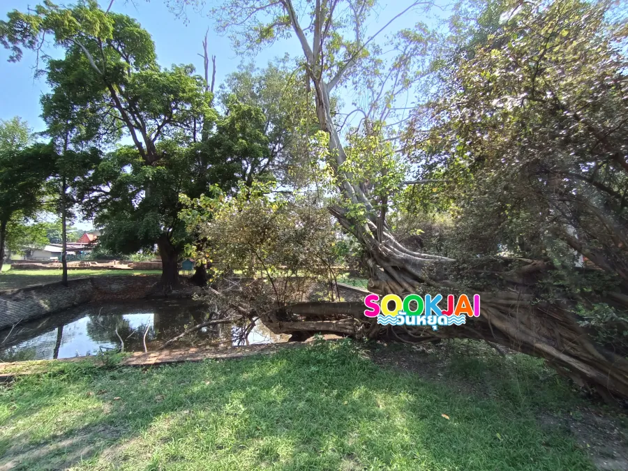 วัดตะไกร อยุธยา ตามรอยตำนานพระนเรศวรปลงผม และปริศนาบ่อน้ำคู่โบราณ