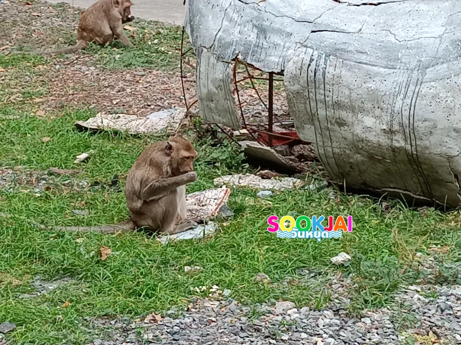 วัดเขาตะโก ย้อนรอยเขาสมอคอน ลพบุรี สำนักเรียนสรรพวิชาของสามบูรพกษัตริย์ไทย