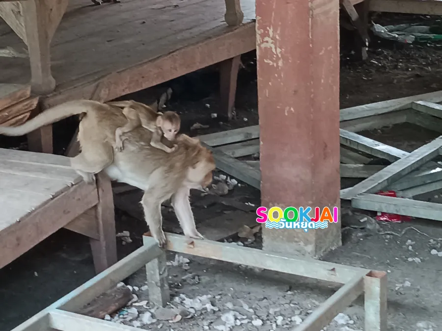 วัดเขาตะโก ย้อนรอยเขาสมอคอน ลพบุรี สำนักเรียนสรรพวิชาของสามบูรพกษัตริย์ไทย