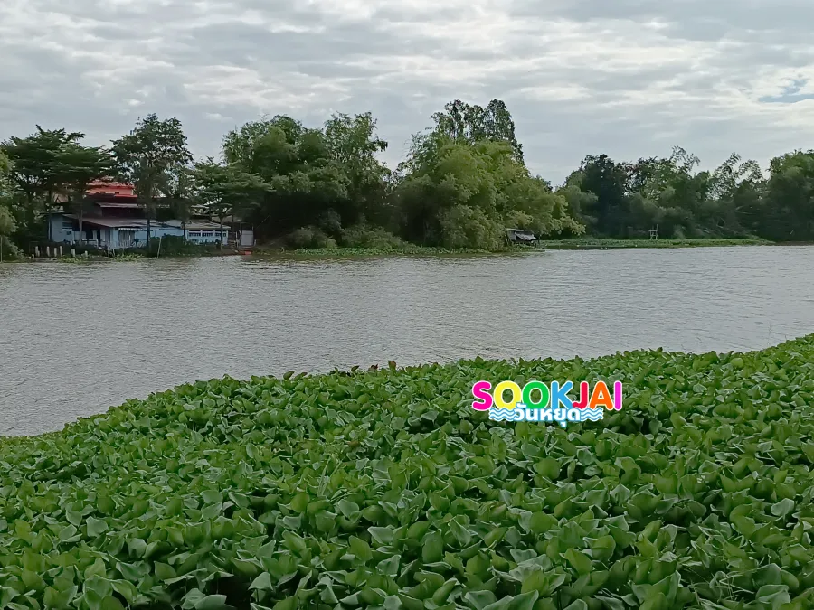 Admire the Art by the Water at Wat Thammi Karam (Wat Khangkhao), Lopburi: See Precious Mural Paintings from the Reigns of King Rama V and VI