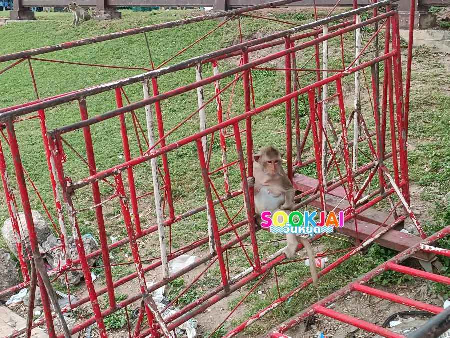 Tracing Wat Intra Lopburi, Admiring the Viharn on the Hill, Early Ayutthaya Art in the Heart of the Old City