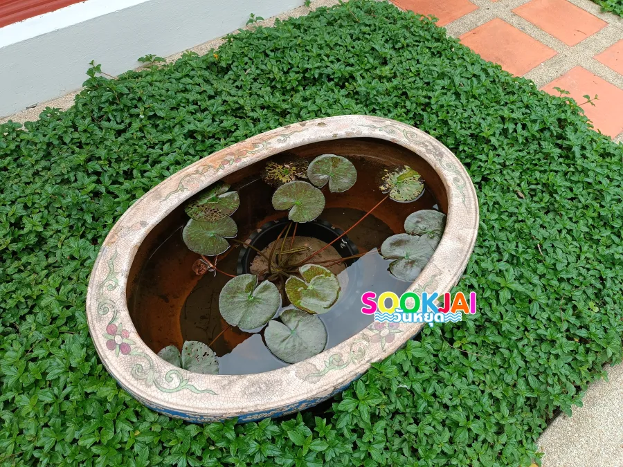 พลังศรัทธาใจกลางบางลำพู! สักการะพระบรมรูป ร.4 ณ วัดบวรนิเวศ และชมความงามพระพุทธชินสีห์