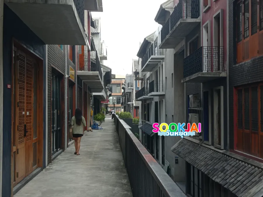 เช็คอิน 