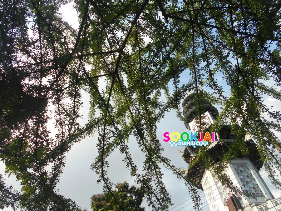 พักผ่อนหย่อนใจ 