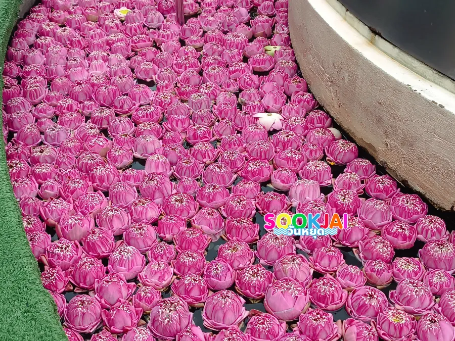 มูให้ปังที่ 