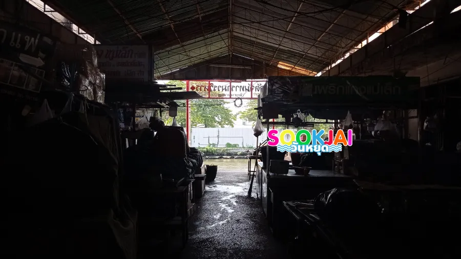 ย้อนรอย 