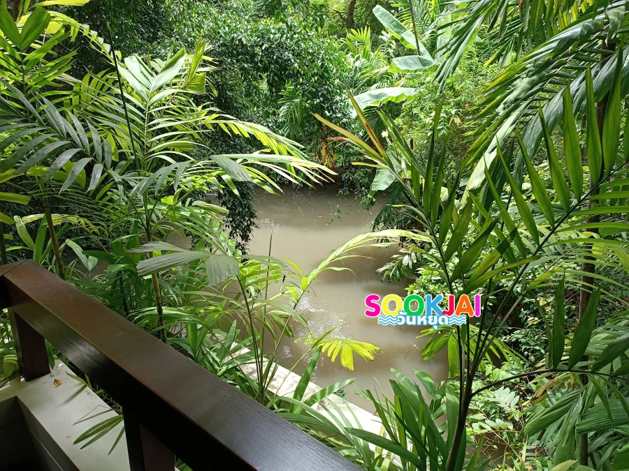 Visit Suan Pakkad Palace Museum, Admire the Beauty of the Teakwood Writing Pavilion and Precious Heritage in the Heart of Phaya Thai