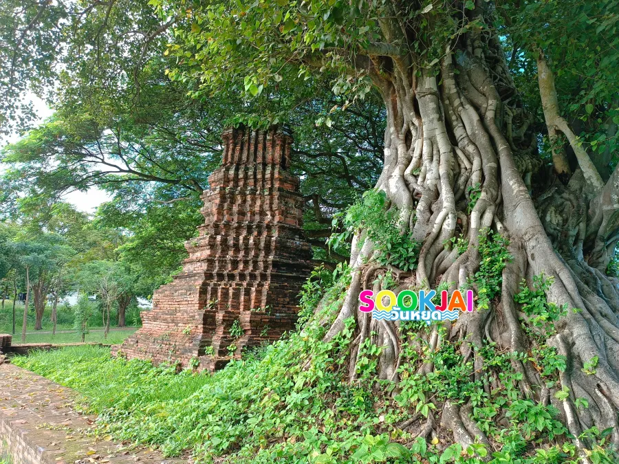 เช็กอิน "วัดเจ้าปราบ" อยุธยา ชมโบราณสถานใต้เงาโพธิ์ใหญ่ สัมผัสมนต์ขลังเกาะเมืองทิศตะวันตก