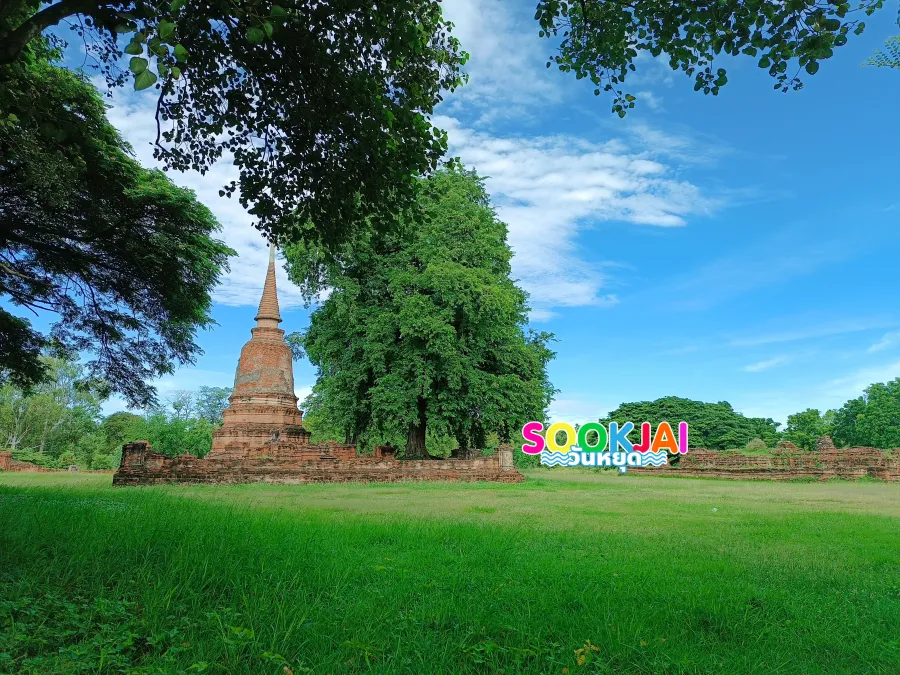 เช็กอิน 