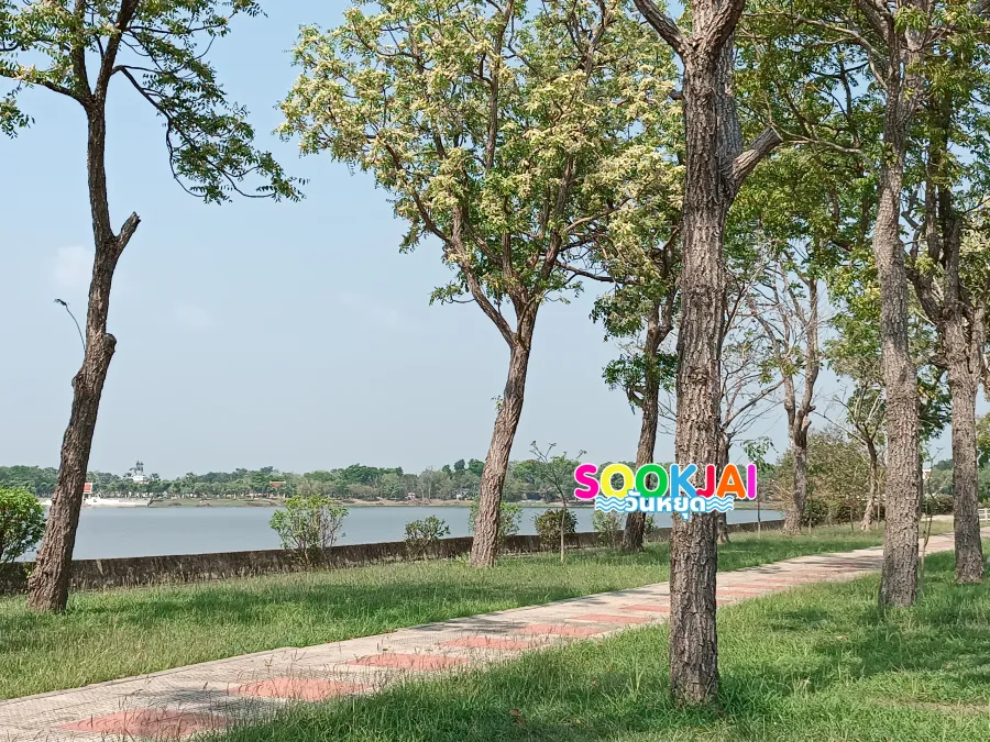 พักผ่อนรับลม 